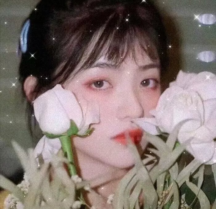 完美盗贼